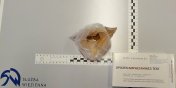 Funkcjonariusze udaremnili przemyt narkotykw!