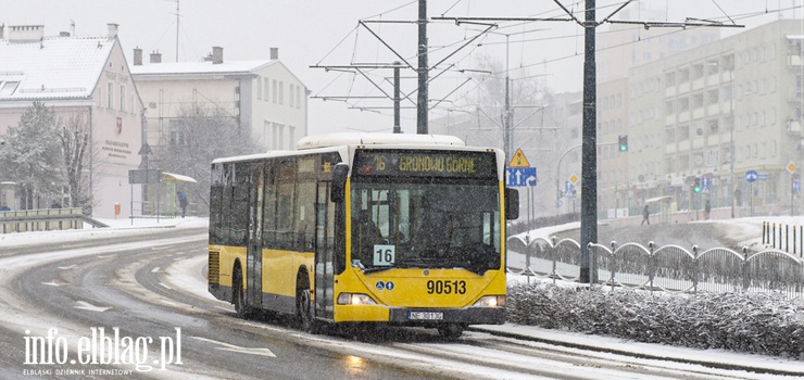 W Elblgu zamiast autobusw zaczn jedzi elektrobusy? "To nieuchronny kierunek dla samorzdu"