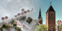 Czy w Elbl�gu dopalacze nadal stanowi� problem?