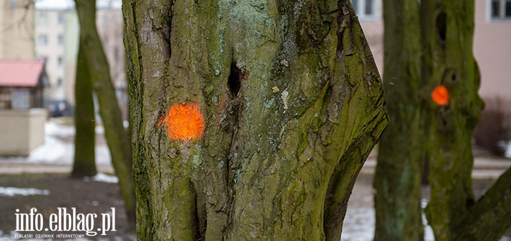 Drzewa w Parku Kajki zostay oznakowane. Czytelnik: Czy one wszystkie s do wycicia?