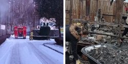 Poar w Punkcie dla Zwierzt. Stowarzyszenie "Bezdomny Kundelek" prosi o wsparcie