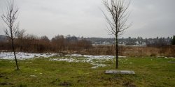 Dzia�ki przy ul. Chrobrego po raz drugi id� pod m�otek. Cena wywo�awcza 1,8 mln z� netto