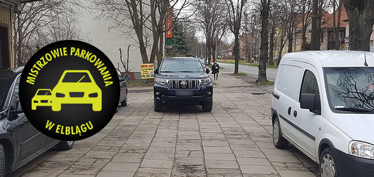 Mistrzowie parkowania w Elblągu (część 85)