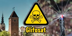 W Elbl�gu stosuje si� gro�ny glifosat? "Warto u�wiadamia� mieszka�c�w"