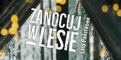 Niebawem rusza program „Zanocuj w lesie” �