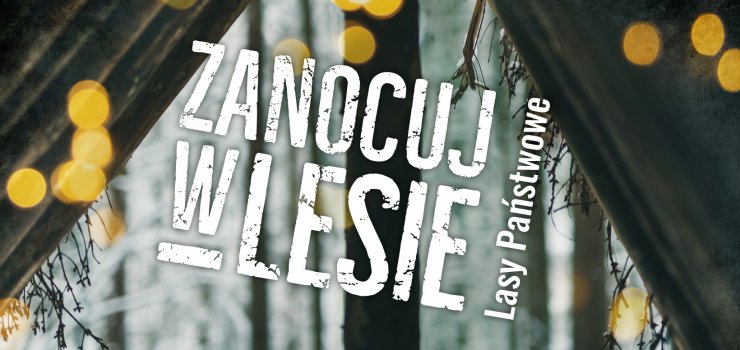 Niebawem rusza program „Zanocuj w lesie”