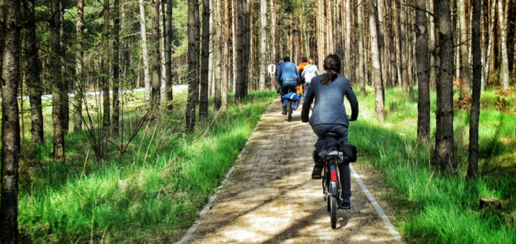 Kilka ścieżek rowerowych do wypróbowania wokół Elbląga
