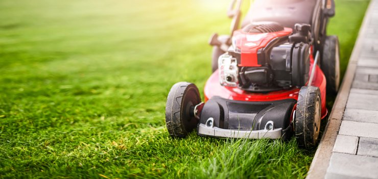 Wiosenne porządki w ogrodzie