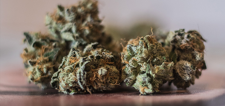 Zatrzymany pod zarzutem posiadania narkotyków