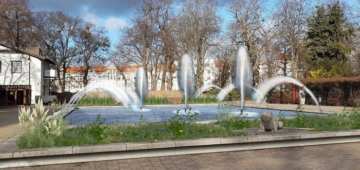 Fontanna z żabką zostanie wyremontowana i podświetlona. Tak to sobie wyobrażali elblążanie?