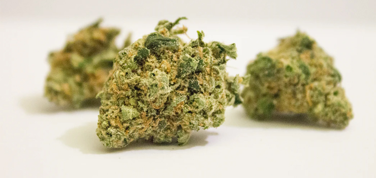 Elbląg: Kieszenie miał pełne narkotyków