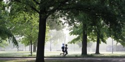 Parkrun wystartuje w Elbl�gu. "W naszym mie�cie jest wielu biegaczy" 