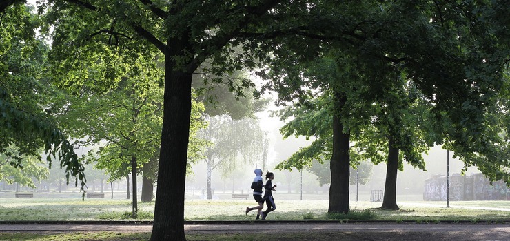 Parkrun wystartuje w Elblągu. "W naszym mieście jest wielu biegaczy"