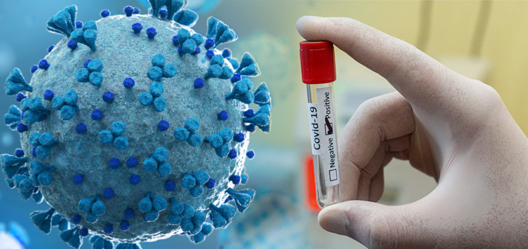 Koronawirus w Elblągu: 99 osób na kwarantannie, 2 nowe zakażenia