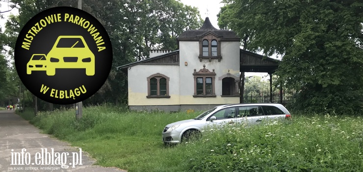 Mistrzowie parkowania w Elblągu (część 101)