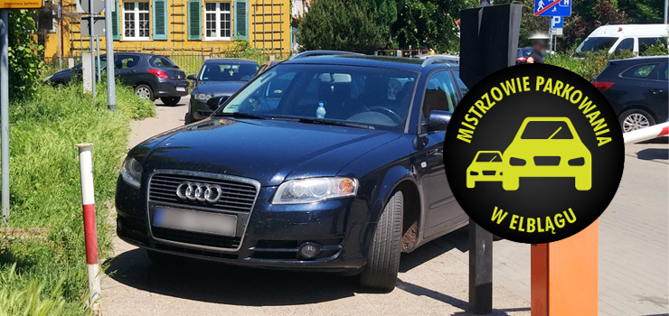 Mistrzowie parkowania w Elblągu (część 103)