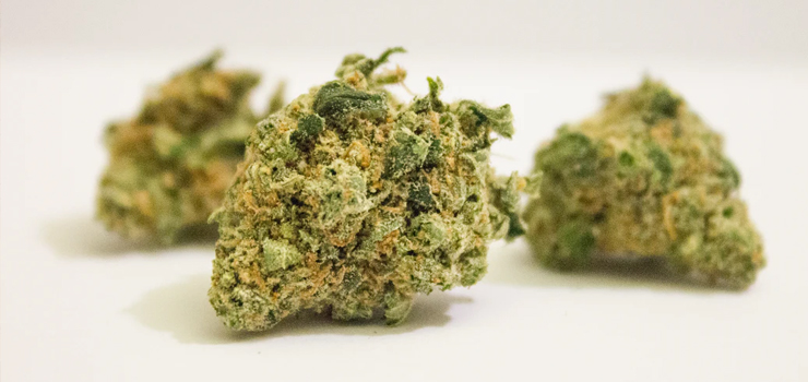 Zatrzymani pod zarzutem posiadania narkotyków