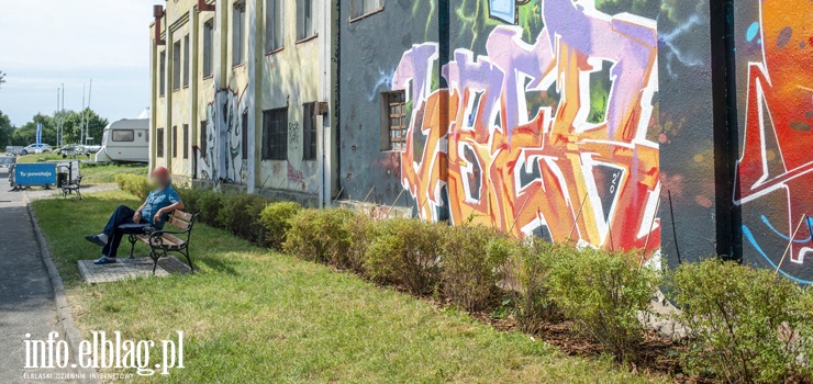 "Chcemy, by mieszkańcy aktywnie zazieleniali Elbląg". Rusza Zielony Budżet