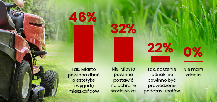 Miasto powinno kosić trawniki. Najważniejsza jest estetyka i wygoda? [wyniki ankiety INFO]