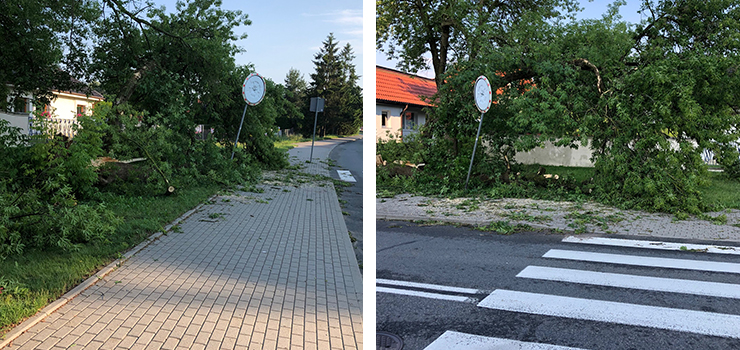 Straty na Legionów. Czytelnik: Wzywam do niezwłocznego uporządkowania terenu