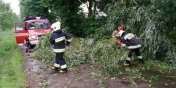 Strażacy mieli wczoraj ręce pełne roboty. „Powalone drzewa, pożary, ewakuacja obozu ZHP”
