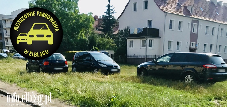 Mistrzowie parkowania w Elblągu (część 109)