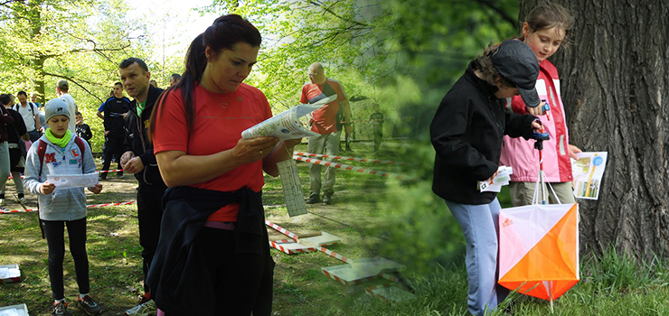 Szlakiem Parkw Elblskich – Park Modrzewia