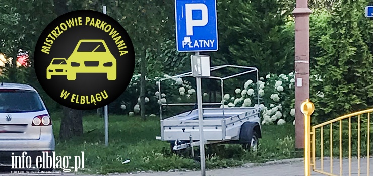 Mistrzowie parkowania w Elblągu (część 112)
