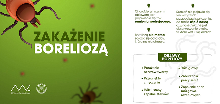 Kleszcze – poważne zagrożenie dla naszego zdrowia