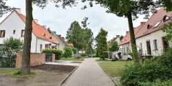 Odwiedzamy elbląskie ulice: Cypriana Kamila Norwida (odc. 37)