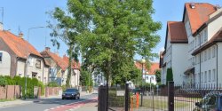 Odwiedzamy elbl�skie ulice: Wsp�lna (odc. 40)