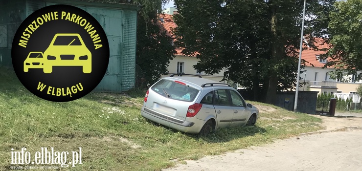 Mistrzowie parkowania w Elblągu (część 113)