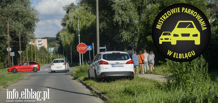 Mistrzowie parkowania w Elblągu (część 117)