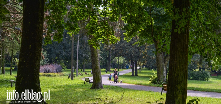 W Parku Modrzewie powstanie wybieg dla psów?