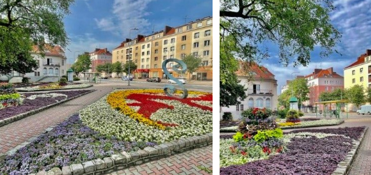 W rkach elblan miejsce na podium naszego miasta. Tylko 3 dni na oddanie gosu