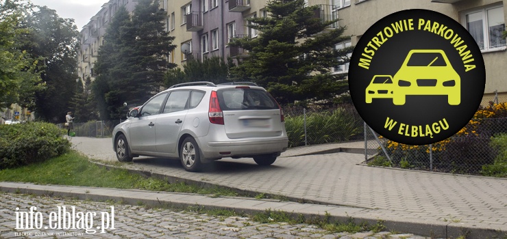 Mistrzowie parkowania w Elblągu (część 119)