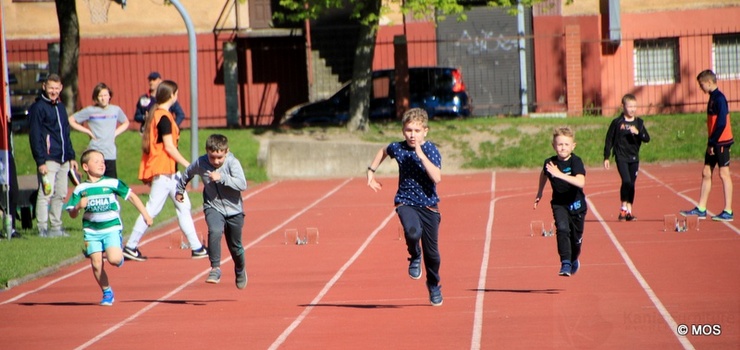 Olimpijczyk na Rodzinnym Pikniku Lekkoatletycznym. Program imprezy