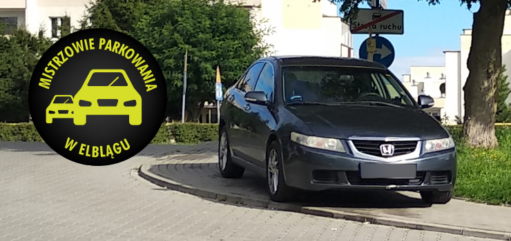 Mistrzowie parkowania w Elblągu (część 122)