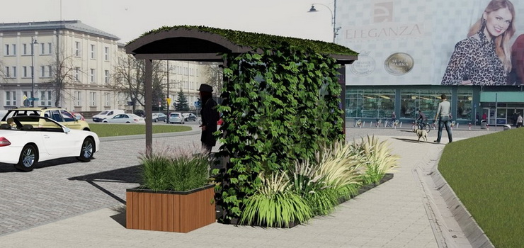 „Miasta się rozbudowują, znikają trawniki i zieleńce”. W Elblągu powstaną zielone przystanki?