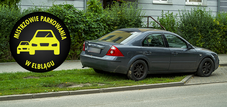 Mistrzowie parkowania w Elblągu (część 123)
