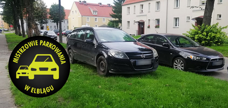 Mistrzowie parkowania w Elblągu (część 124)