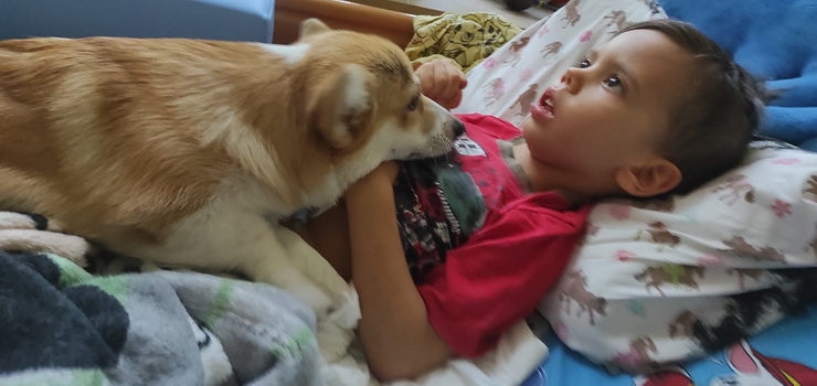 Historia Mikołaja poruszyła wielu elblążan. Co dzieje się z chłopcem, który w przedszkolu zakrztusił się winogronem?