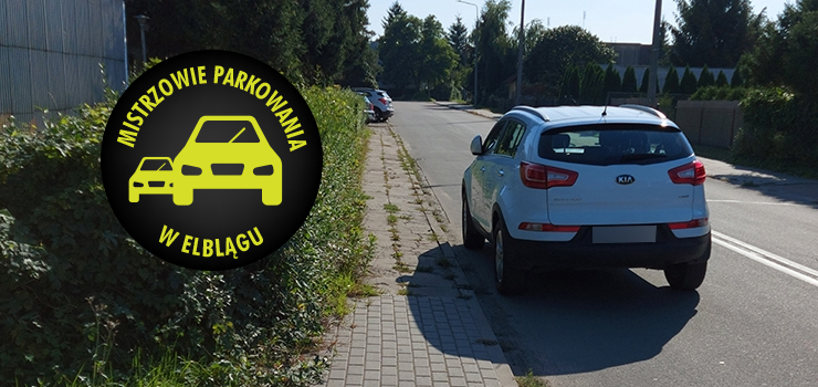 Mistrzowie parkowania w Elblągu (część 125)