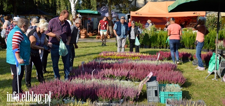 XXVI Jesienne Targi Ogrodnicze w Starym Polu - zobacz zdjęcia