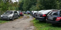 Elbląg: Problem na Łęczyckiej. "Wojskowi parkują po krzakach"?