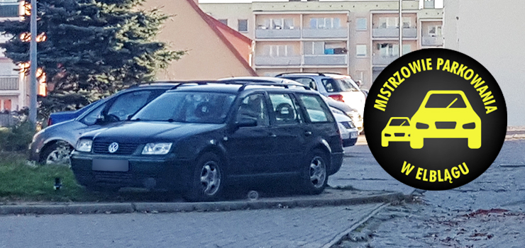 Mistrzowie parkowania w Elblągu (część 128)