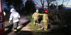 Stra�acy walczyli ze skutkami wichury. Kilkadziesi�t interwencji w Elbl�gu i powiecie elbl�skim