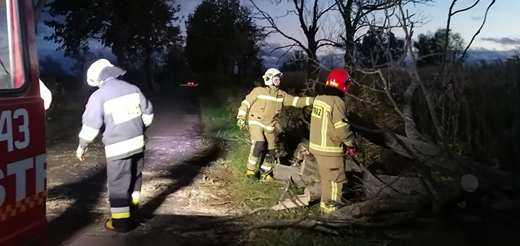 Strażacy walczyli ze skutkami wichury. Kilkadziesiąt interwencji w Elblągu i powiecie elbląskim