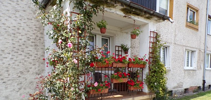 Elbląski konkurs na Najpiękniejszy balkon 2021 rozstrzygnięty - zobacz zdjęcia