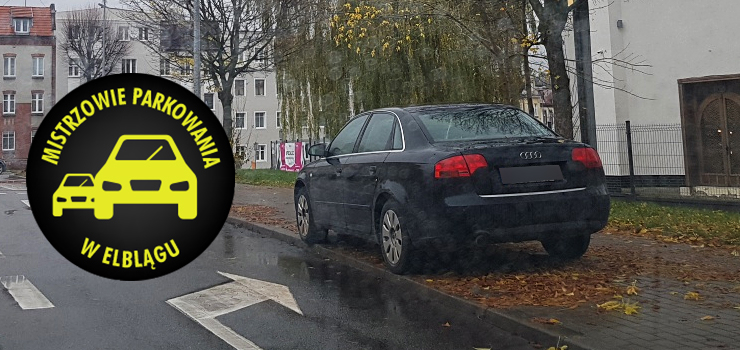 Mistrzowie parkowania w Elblągu (część 129)